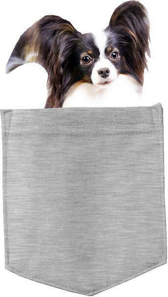 Papillons Dog  in  pocket Fridge Car Magnet Bumper Sticker App size 4"x7"