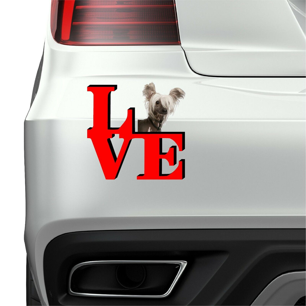 Chinese Crested Dog Love Park Dog Fridge Refrigerator Car Magnet