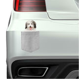 Coton De Tulear Dog in pocket Fridge Car Magnet Bumper Sticker App size 4"x7"