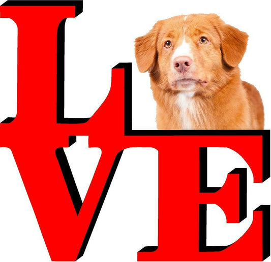 Nova Scotia Duck Toller Love Park Cute Dog Fridge Refrigerator Car Magnet