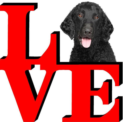 Curley Coated Retriever Cute Dog Fridge Refrigerator Car Magnet