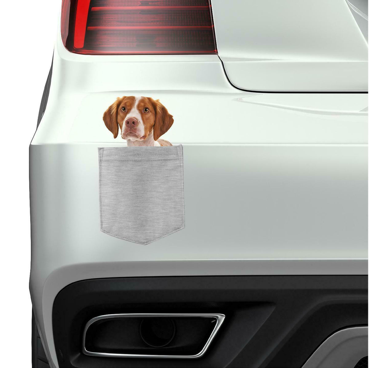Brittany Dog in pocket Fridge Car Magnet Bumper Sticker App size 4"x7"