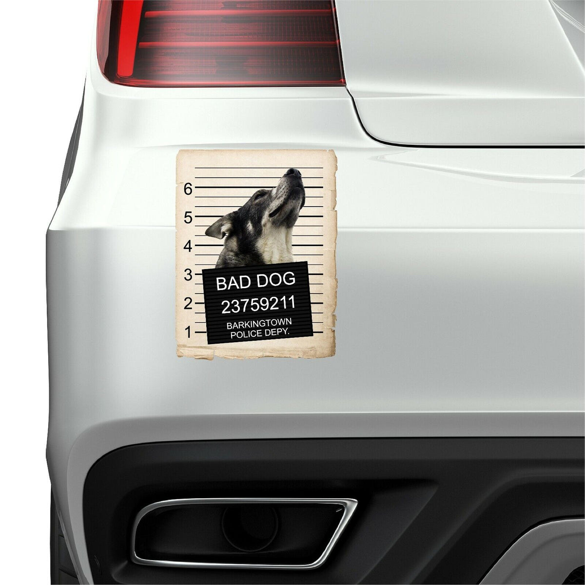Norwegian Elk Hound Mugshot Bad Dog Fridge refrigerator Car Magnet