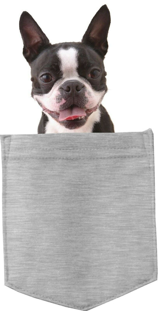 Boston Terrier Dog in pocket Fridge Car Magnet Bumper Sticker App size 4"x7"