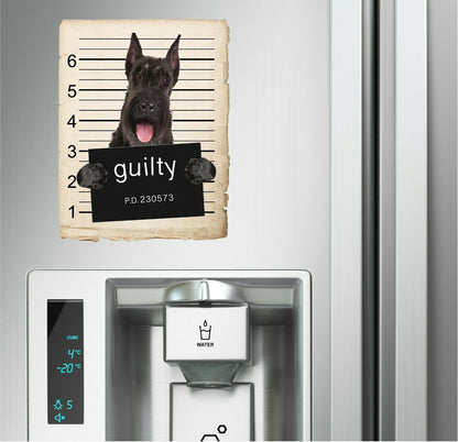 Giant Schnauzer Mugshot Bad Dog Fridge refrigerator Car Magnet
