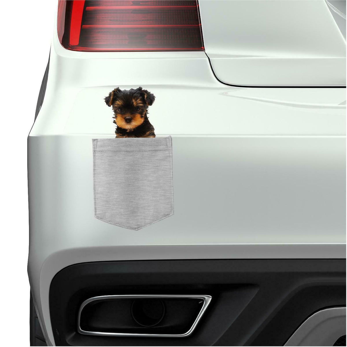 Yorkshire Terrier Dog in pocket Fridge Car Magnet Bumper Sticker App size 4"x7"