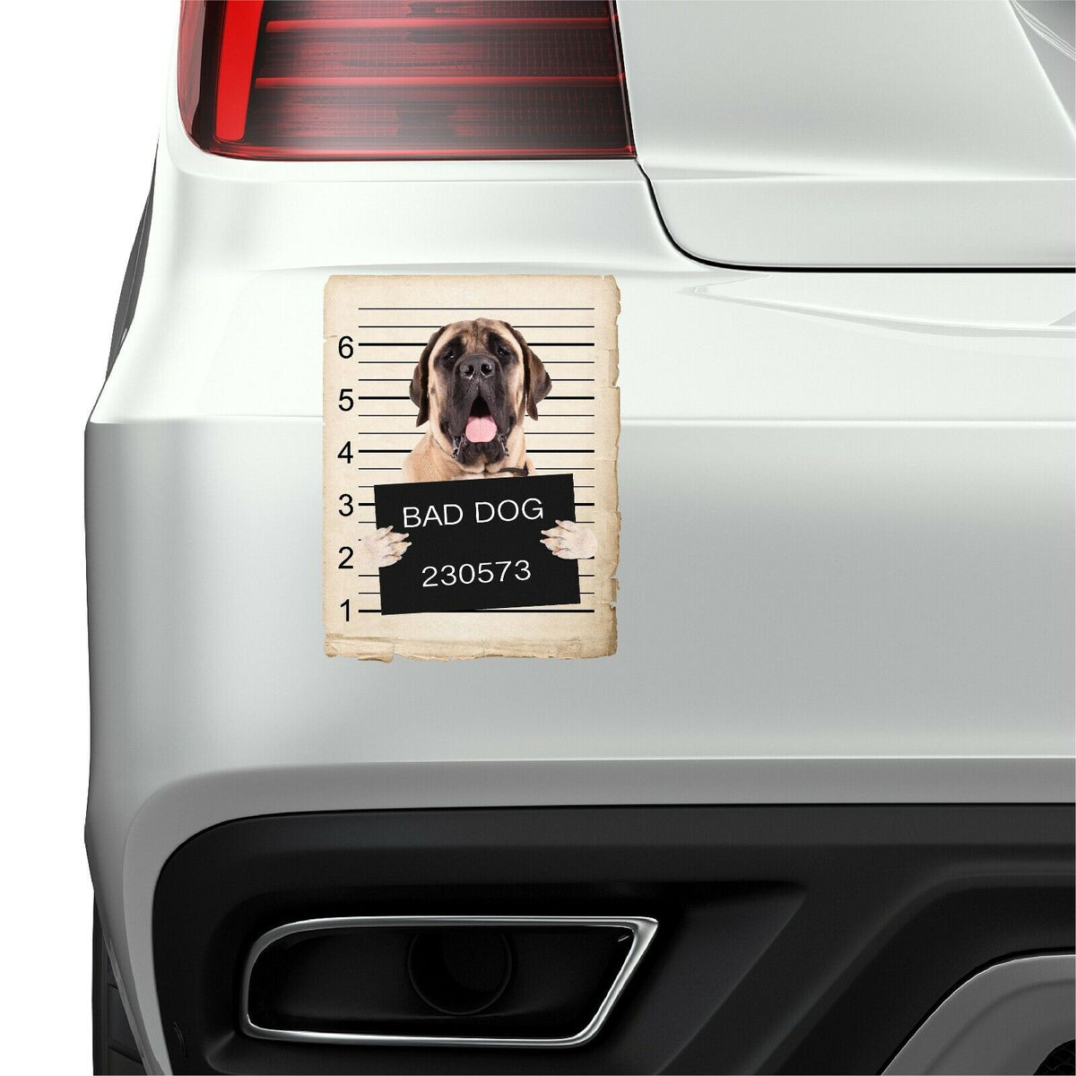 Mastiff Mugshot Bad Dog Fridge refrigerator Car Magnet