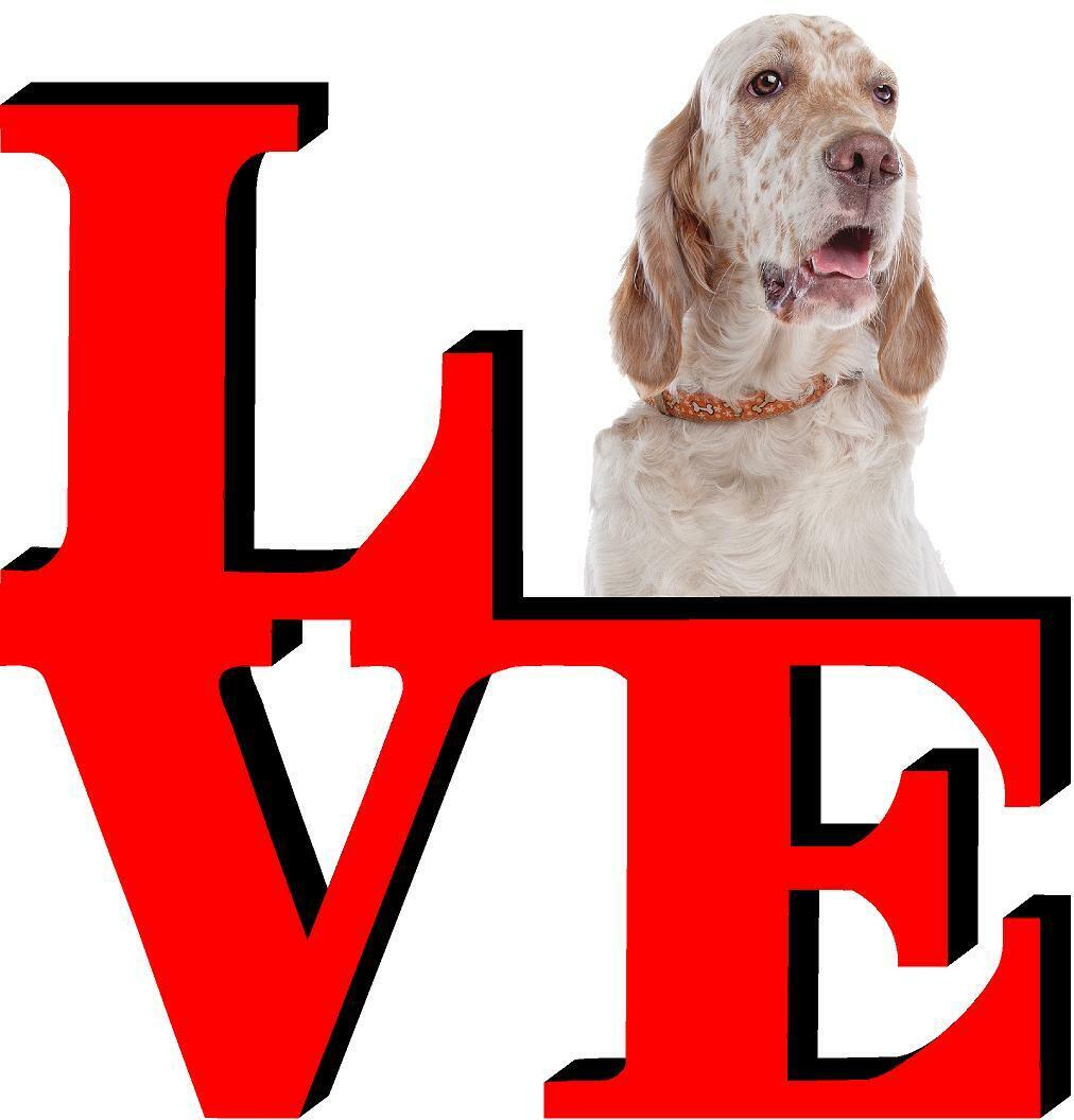 English Setter  Dog Love Park Dog Fridge Refrigerator Car Magnet