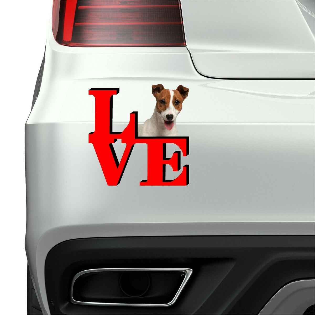 Jack Russell Dog Love Park Dog Fridge Refrigerator Car Magnet