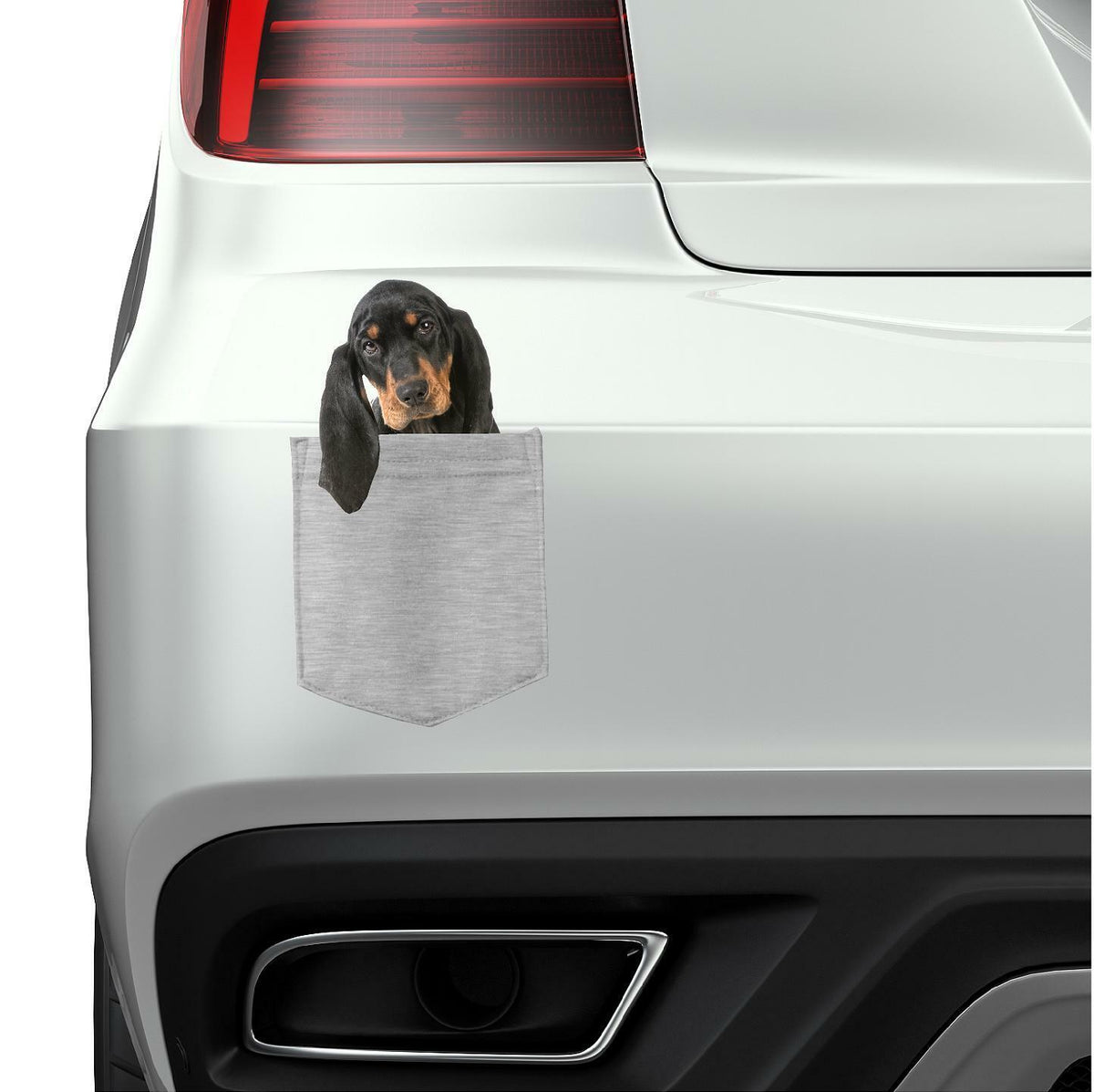Black & Tan Coonhound in pocket Fridge Car Magnet Bumper Sticker App size 4"x7"
