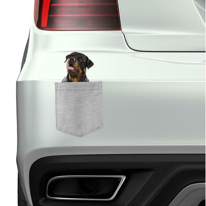 Rottweiler Dog in pocket Fridge Car Magnet Bumper Sticker App size 4"x7"