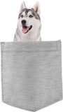 Siberian Husky Dog in pocket Fridge Car Magnet Bumper Sticker App size 4"x7"