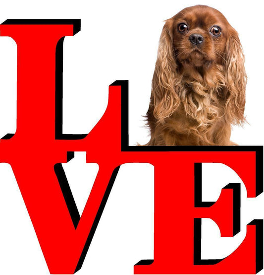 Cavalier King Charles Spaniel Dog Love Park Dog Fridge Refrigerator Car Magnet