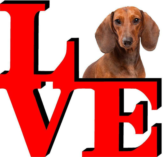 Dachshund Dog Love Park Dog Fridge Refrigerator Car Magnet