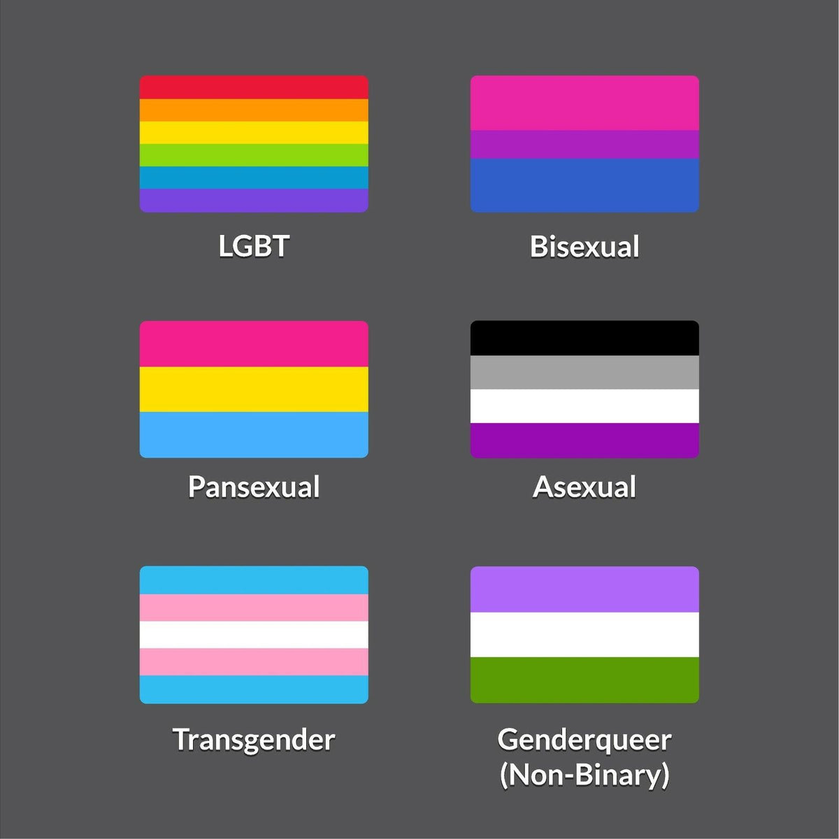 Set of 6 magnetic bumper stickers magnet LGBTQA pride flags Bisexual Pansexual