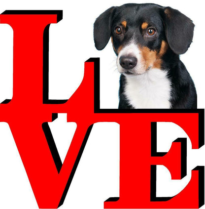 Entlebucher Sennenhund Dog Love Park Dog Fridge Refrigerator Car Magnet