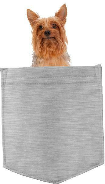 Silky Terrier Dog in pocket Fridge Car Magnet Bumper Sticker App size 4"x7"