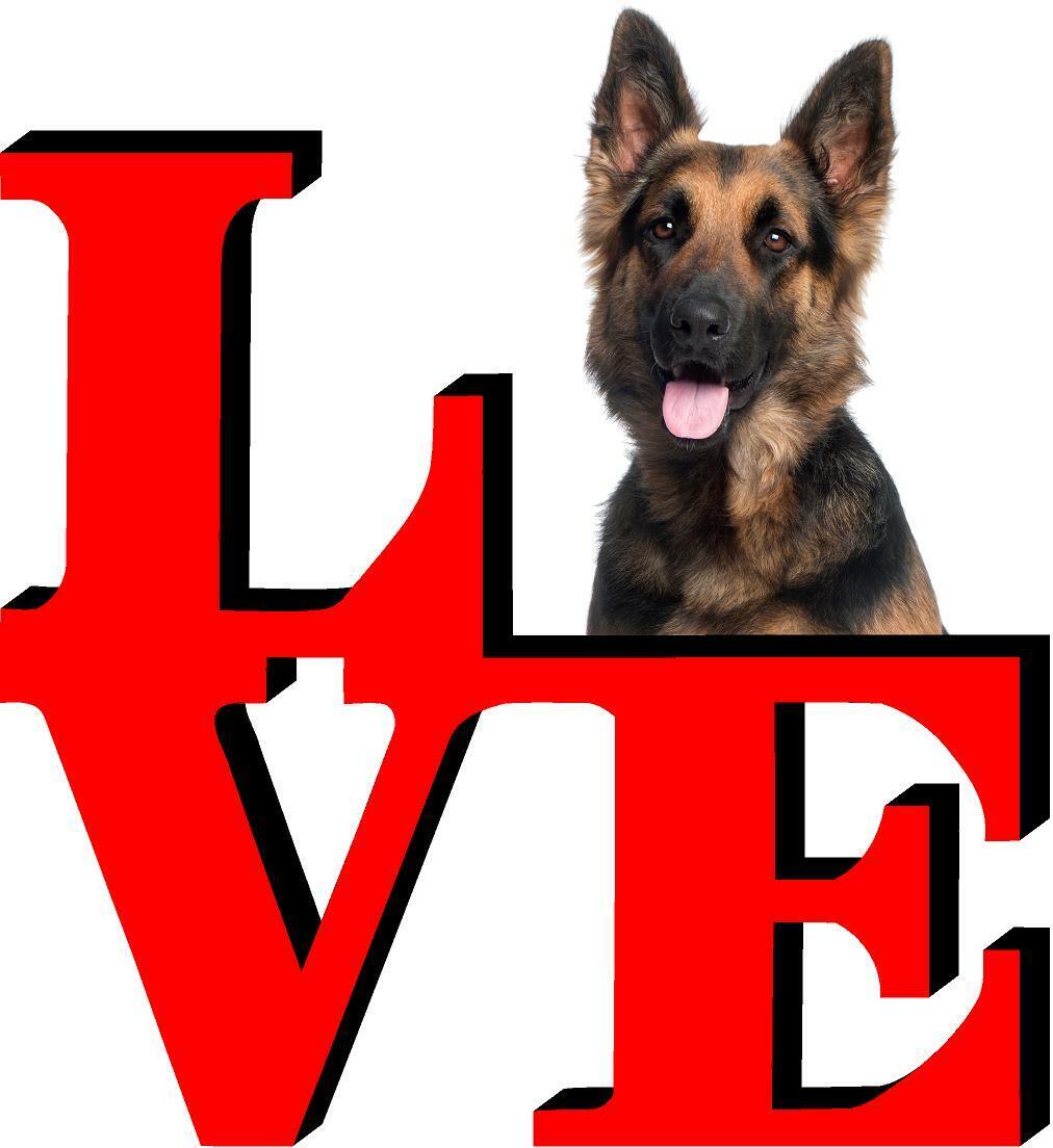 German Shepard Dog Love Park Dog Fridge Refrigerator Car Magnet