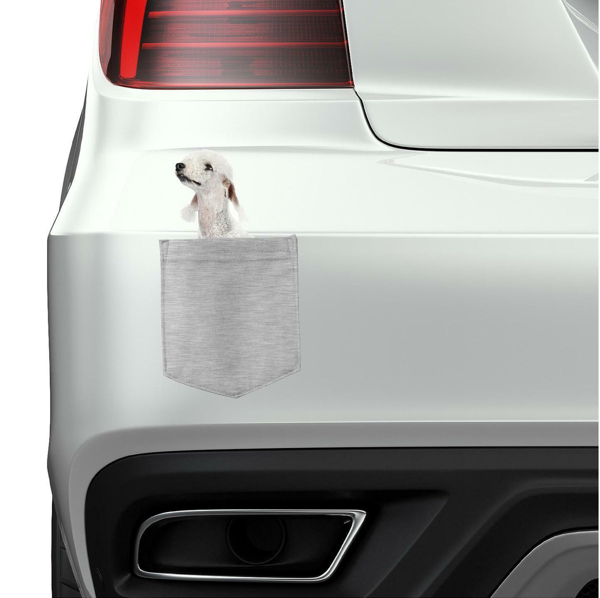 Bedlington Terrier Dog in pocket Fridge Car Magnet Bumper Sticker App size 4"x7"