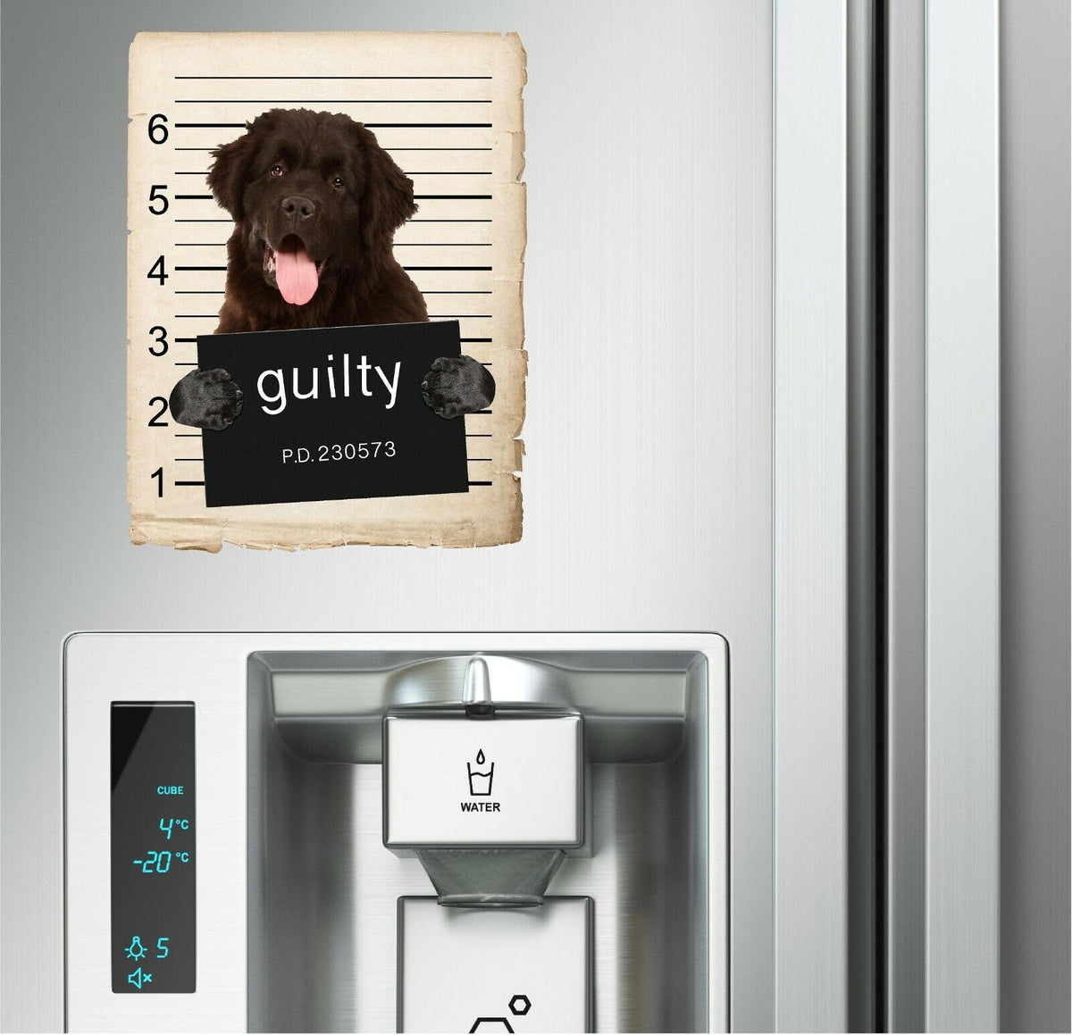 Newfoundland Mugshot Bad Dog Fridge refrigerator Car Magnet