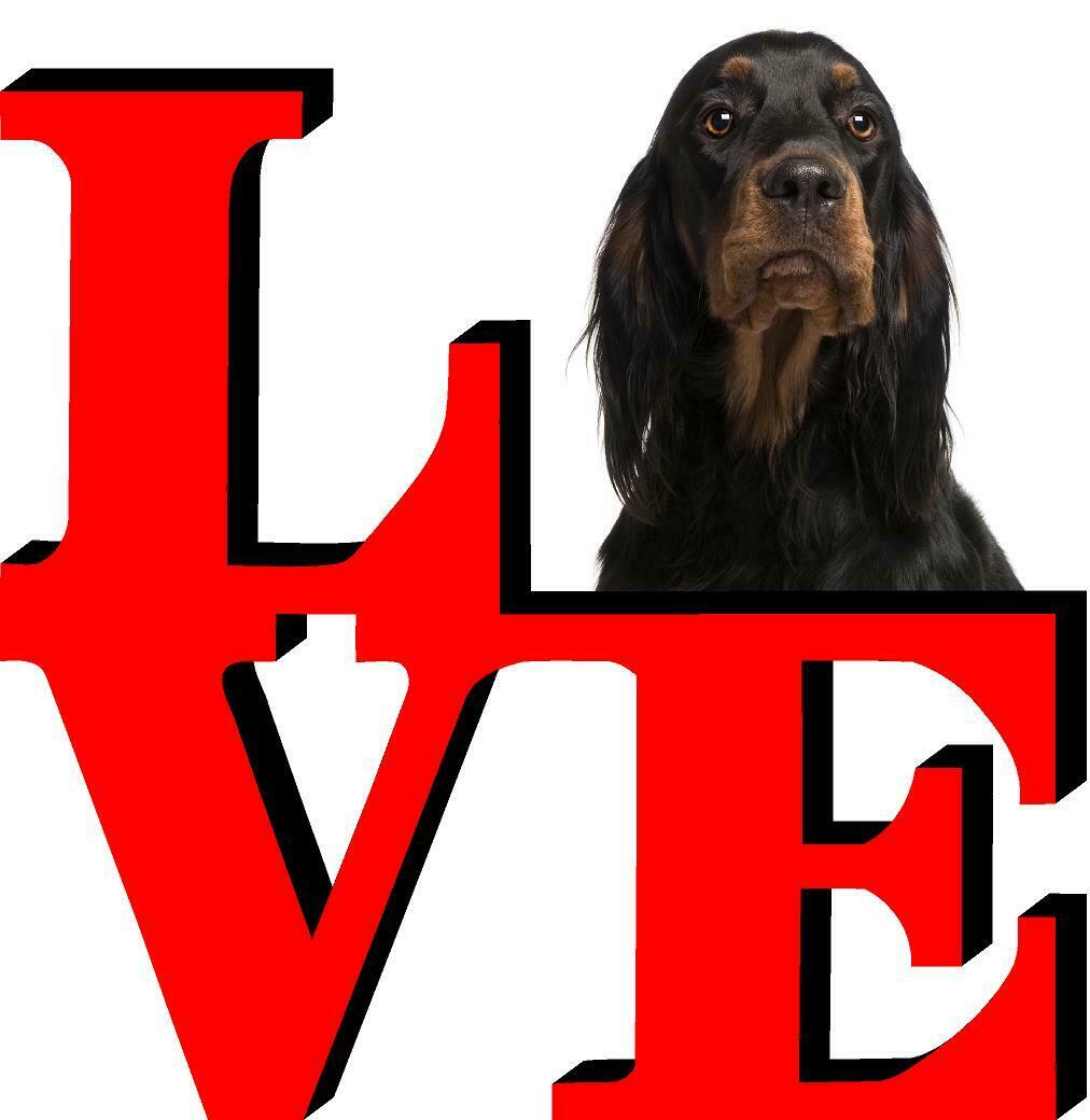 Gordon Setter Dog Love Park Dog Fridge Refrigerator Car Magnet