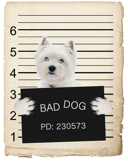 West Highland Terrier Mugshot Bad Dog Fridge refrigerator Car Magnet