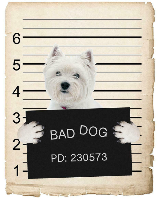 West Highland Terrier Mugshot Bad Dog Fridge refrigerator Car Magnet