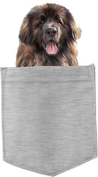 Leonberger Dog in pocket Fridge Car Magnet Bumper Sticker App size 4"x7"