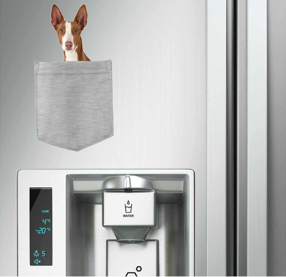 Ibizan Hound Dog in pocket Fridge Car Magnet Bumper Sticker App size 4"x7"