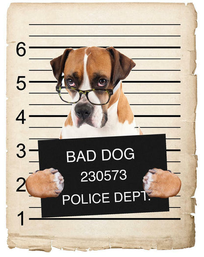 Boxer w/ glasses Mugshot Bad Dog Fridge refrigerator Car Magnet
