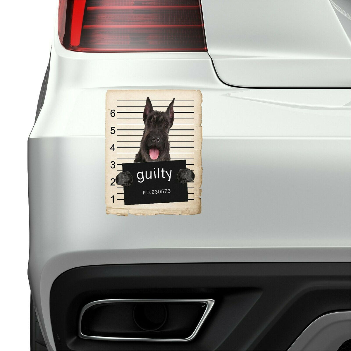 Giant Schnauzer Mugshot Bad Dog Fridge refrigerator Car Magnet