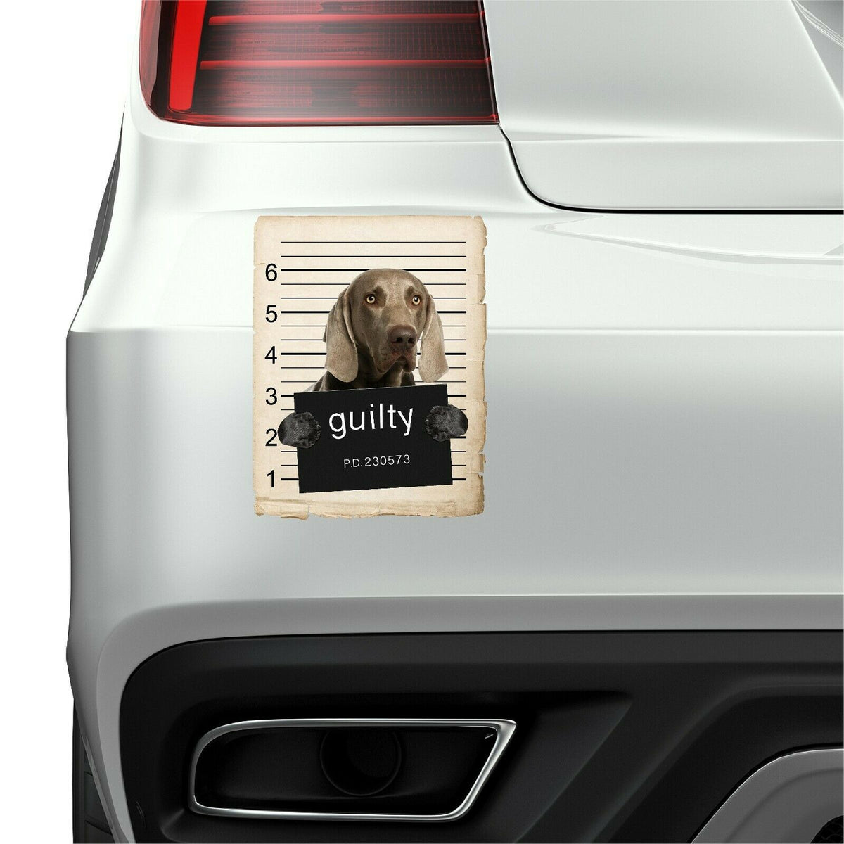 Weimaraner Mugshot Bad Dog Fridge refrigerator Car Magnet