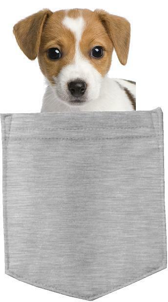 Russell Terrier Dog in pocket Fridge Car Magnet Bumper Sticker App size 4"x7"