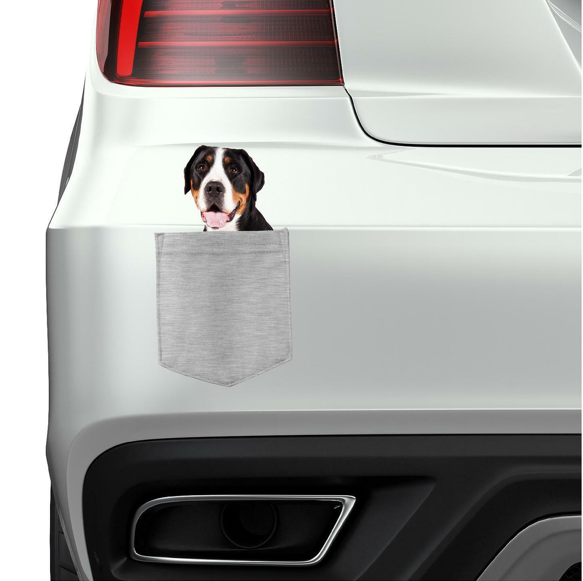 Greater Swiss Mountian Dog in pocket Fridge Car Magnet Bumper Sticker