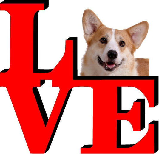 Pembroke Welsh Corgi Love Park Cute Dog Fridge Refrigerator Car Magnet