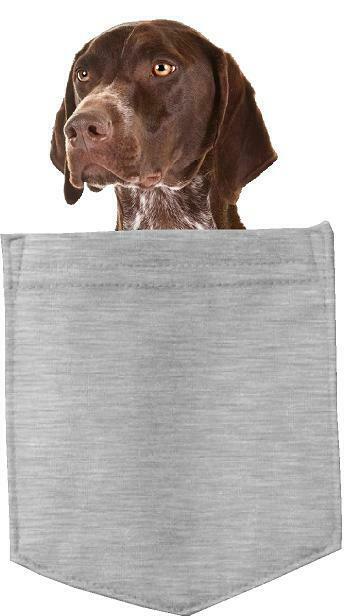 German Shorthair Pointer Dog in pocket Fridge Car Magnet Bumper Sticker