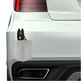 Belgian Tervuren Dog in pocket Fridge Car Magnet Bumper Sticker App size 4"x7"