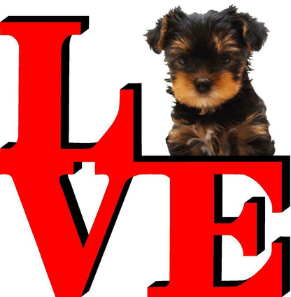 Yorkshire Terrier Love Park Cute Dog Fridge Refrigerator Car Magnet
