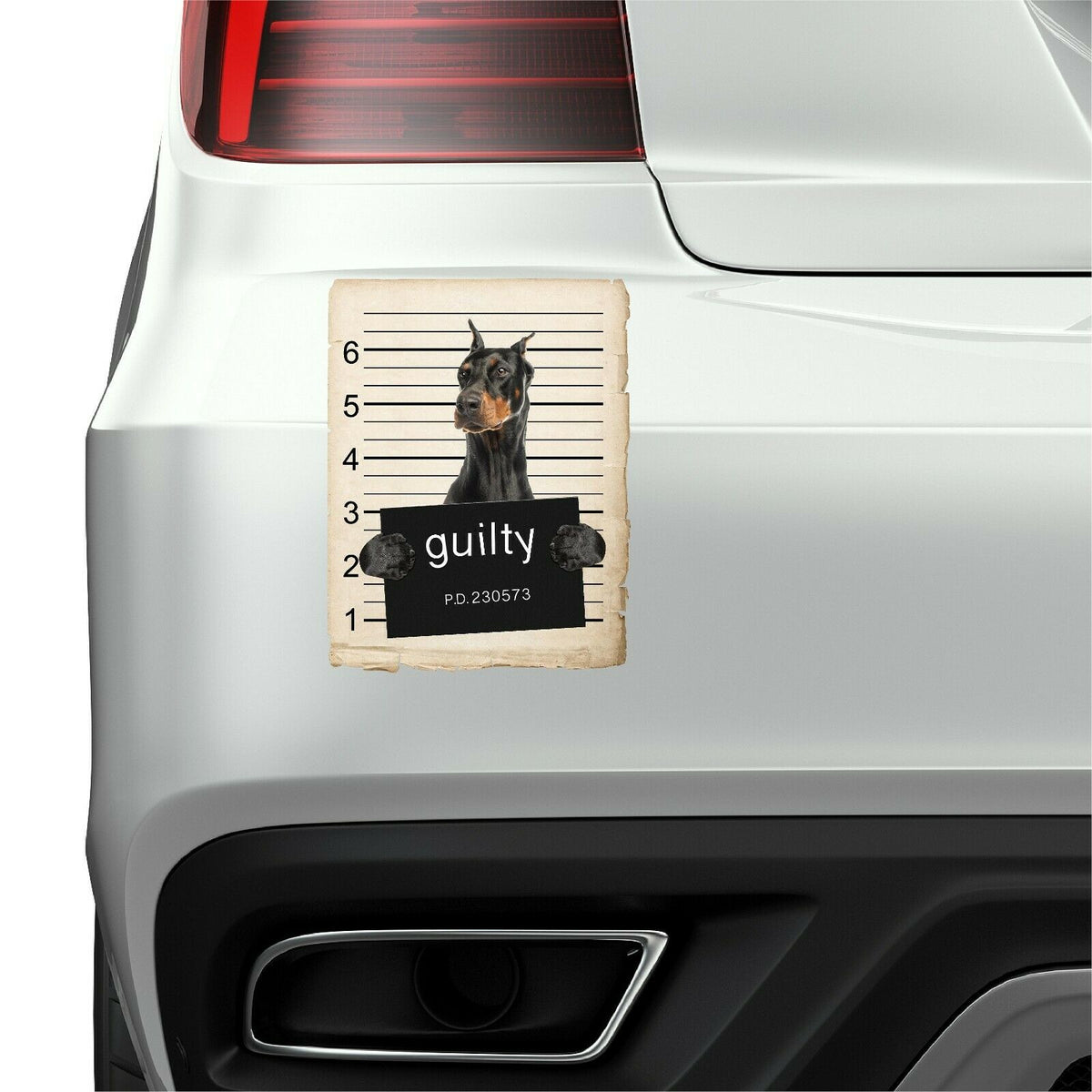 Doberman Pinscher Mugshot Bad Dog Fridge refrigerator Car Magnet