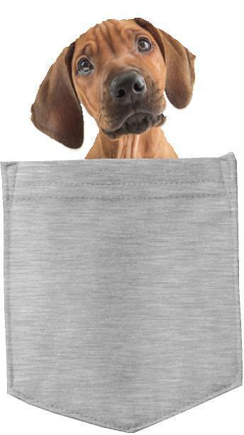 Rhodesian Ridgeback in pocket Fridge Car Magnet Bumper Sticker App size 4"x7"