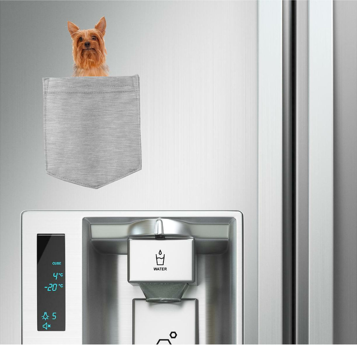Silky Terrier Dog in pocket Fridge Car Magnet Bumper Sticker App size 4"x7"