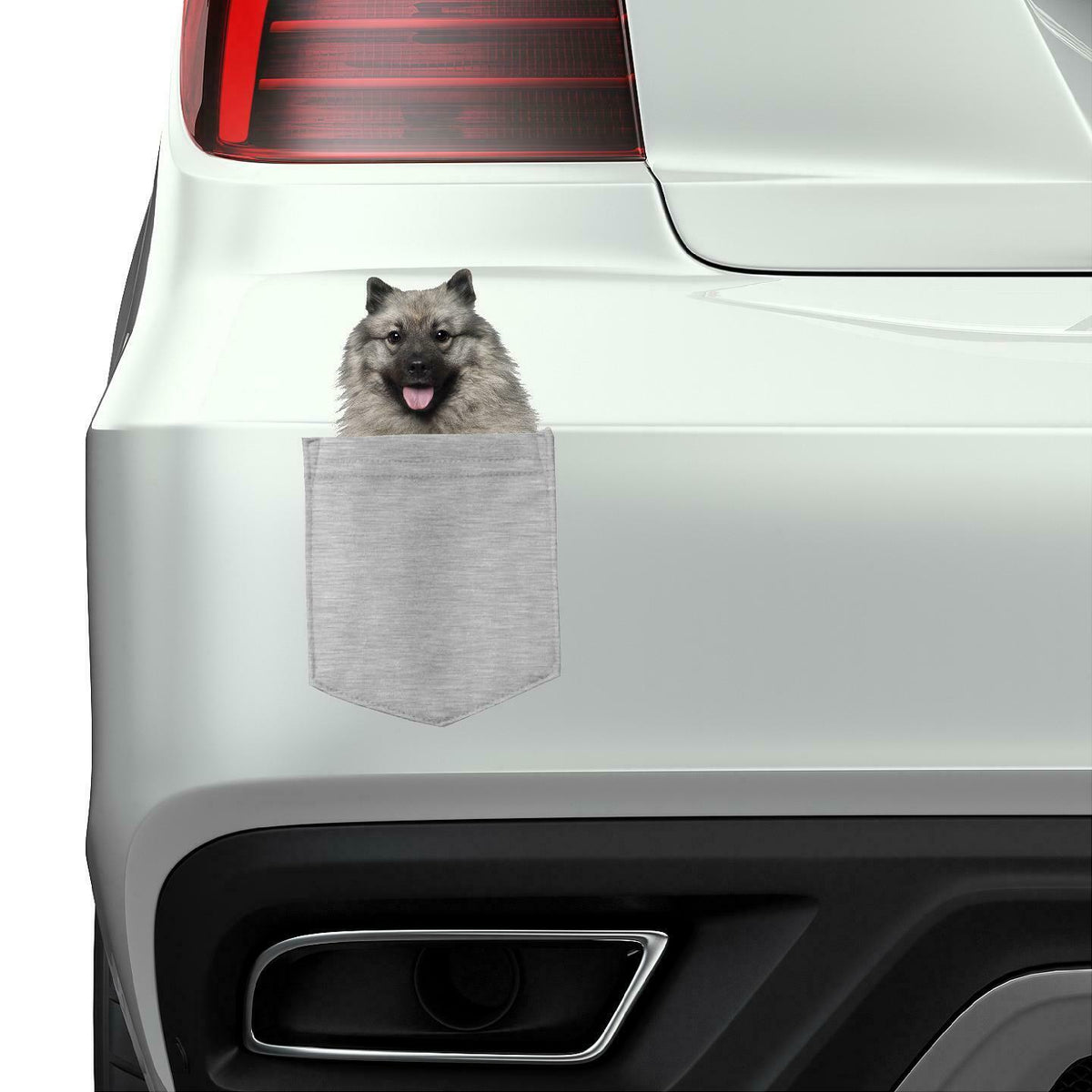 Keeshonden Dog in pocket Fridge Car Magnet Bumper Sticker App size 4"x7"