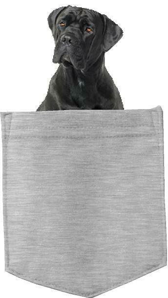 Cane Corso Dog in pocket Fridge Car Magnet Bumper Sticker App size 4"x7"