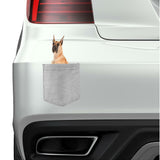 Great Dane Dog in pocket Fridge Car Magnet Bumper Sticker App size 4"x7"