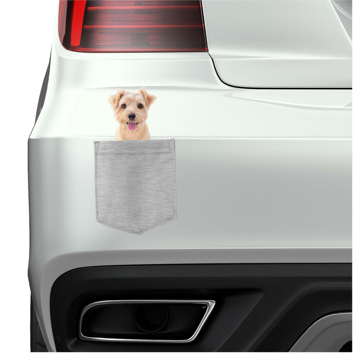 Norfolk Terrier Dog in pocket Fridge Car Magnet Bumper Sticker App size 4"x7"