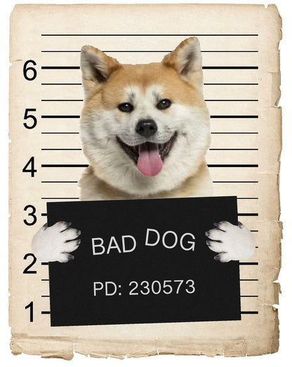 Akita Mugshot Bad Dog Fridge refrigerator Car Magnet Bumper Sticker