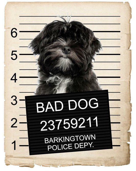 Lhasa Apso Mugshot Bad Dog Fridge refrigerator Car Magnet