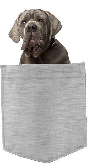Neopolitan Mastiff Dog in pocket Fridge Car Magnet Bumper Sticker App size 4"x7"