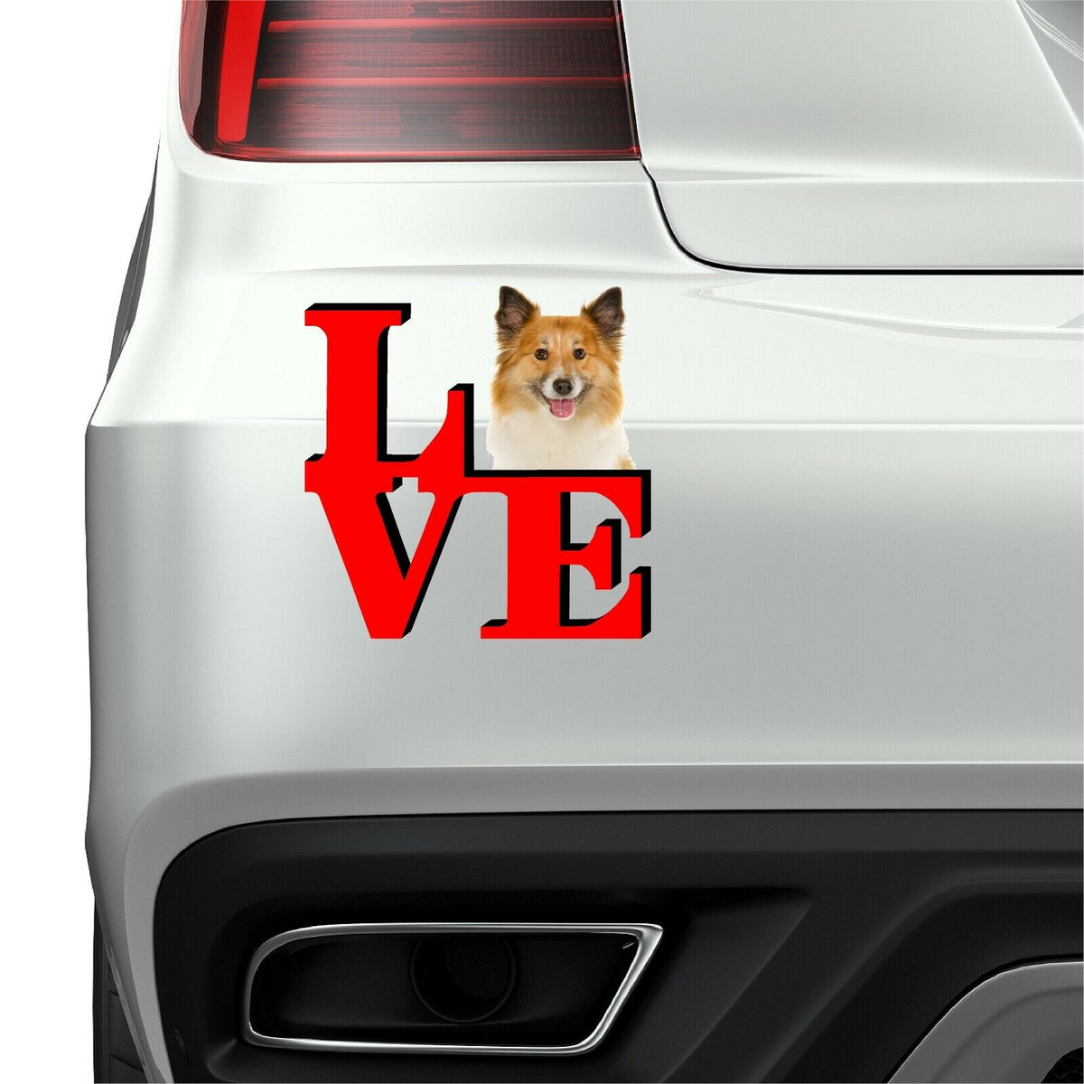 Icelandic Sheepdog Dog Love Park Dog Fridge Refrigerator Car Magnet