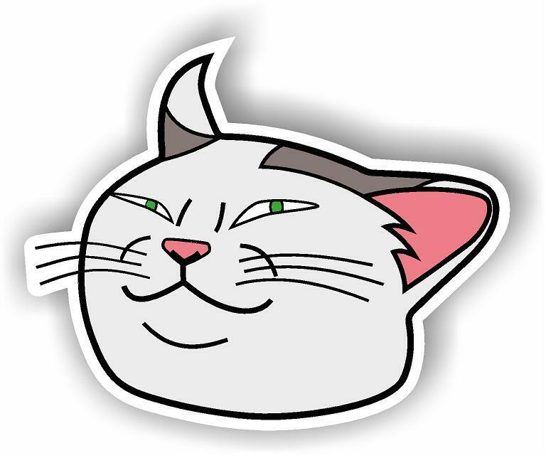 Smudge the Cat Meme MAGNET Magnetic Bumper Sticker Offended Funny Confused Cat